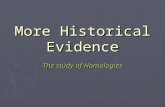 More Historical Evidence The study of Homologies.