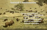 Animal Communities Factors that influence community composition: Species interactionsSpecies interactions History (biogeography)History (biogeography)