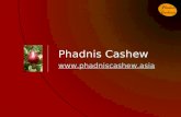 Phadnis Cashew . Index Phadnis Cashew  Serial NumberTopicSlide Number 1Product Hierarchy3 2Cashew Tree4 3Cashew.