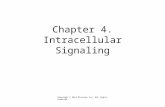 Chapter 4. Intracellular Signaling Copyright © 2014 Elsevier Inc. All rights reserved.