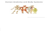 Human Anatomy and Body Systems Adapted from: .