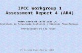 IPCC Workgroup 1 Assessment Report 4 (AR4) Pedro Leite da Silva Dias (*) Instituto de Astronomia Geofísica e Ciências Atmosféricas Universidade de São.