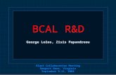 BCAL R&D GlueX Collaboration Meeting Newport News, Virginia September 9-11, 2004 George Lolos, Zisis Papandreou.