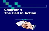 Chapter 4 The Cell in Action The movement of particles from an area where their concentration is high to an area where their concentration is low Click.