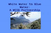 White Water to Blue Water: A WSSD Partnership Initiative.