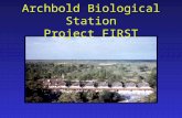 . Archbold Biological Station Project FIRST. Evaluation of February workshop Questionnaire How and Why walk Oak Gall Project Goals for May workshop Review.