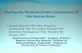 Tracing the Thalamo-Limbic Connections of the Human Brain Arash Kamali MD, Roy Riascos-Castaneda MD Siva Jasti Prasad MD, Saeeded Mirbagheri MD, Khader.