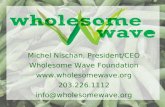Michel Nischan, President/CEO Wholesome Wave Foundation  203.226.1112 info@wholesomewave.org.