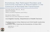 1 Promotoras, Peer Participant Providers and Community Outreach as Preconception in the Continuum of Perinatal HIV Transmission Armida Ayala, M.H.A., Ph.D.
