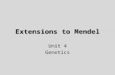 Extensions to Mendel Unit 4 Genetics. Color Blindness X-Linked Recessive Condition XXcXc XXXXX c YXYXcYXcY.
