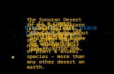 Right Now, In a place 1400 miles away… Sonoran Desert It is a common stereotype that deserts never get any rain. This is not always the case… The Sonoran.