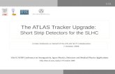 1/14 The ATLAS Tracker Upgrade: Short Strip Detectors for the SLHC Urmila Soldevila on behalf of the ATLAS SCT Collaboration 7 October 2009 11th ICATPP.