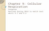 Chapter 9: Cellular Respiration Ferguson Revised Spring 2014 to match text wksts 9.1 and 9.2.