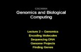 CSCI6904 Genomics and Biological Computing Lecture 2 – Genomics Encoding Molecules Sequencing DNA Genome Projects Finding Genes.