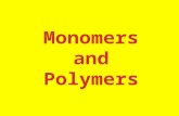 Let’s start with MONOmers. What is a MONOmer? Mono means "one". So, monomers are those itty bitty molecules that can join together to make a long polymer.