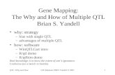 QTL: Why and HowUW-Madison PBPG Yandell © 20071 Gene Mapping: The Why and How of Multiple QTL Brian S. Yandell why: strategy –bias with single QTL –advantages.