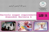 Bacteria oxygen requirements & Anaerobic Bacteria.