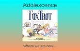 Adolescence Where we are now…. Adolescence MARCIA’S DEVELOPMENT OF ADOLESCENT IDENTITY As Erikson noted, the crisis of adolescence is ego identity versus.