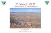 Colorado BLM Little Snake Draft RMP/EIS LS Draft RMP/EIS NWRAC, February 22, 2007.