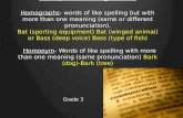 Multiple Meaning Words Homographs- words of like spelling but with more than one meaning (same or different pronunciation). Bat (sporting equipment) Bat.
