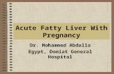 Acute Fatty Liver With Pregnancy Dr. Mohammed Abdalla Egypt, Domiat General Hospital