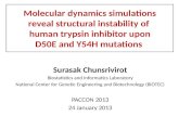 Molecular dynamics simulations reveal structural instability of human trypsin inhibitor upon D50E and Y54H mutations Surasak Chunsrivirot Biostatistics.