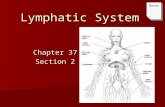 Lymphatic System Chapter 37 Section 2 CERVICAL NODES THYMUS LYMPH VESSELS SPLEEN INGUINAL NODES LYMPH VESSELS LYMPH VESSELS AXILLARY NODES DIAPHRAGM Notes.