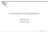 ©MNoonan2009 Commercial Transactions Module 11a Winter2015.