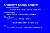 Oxidative Energy Sources Muscle Glycogen- 15g/kg x 30 kg = 450g x 4 kcal/g = 1800 kcal Liver Glycogen- 50g/kg x 1.5 kg = 75g x 4 kcal/g = 300 kcal Blood.