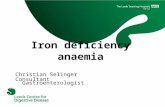 Iron deficiency anaemia Christian Selinger Consultant Gastroenterologist