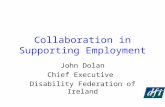 Collaboration in Supporting Employment John Dolan Chief Executive Disability Federation of Ireland.