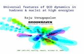 Universal features of QCD dynamics in hadrons & nuclei at high energies Raju Venugopalan DNP (APS/JPS) meeting, Hawaii, October 13, 2009.