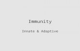 Immunity Innate & Adaptive. Immunity Innate: response to attack is always the same â€“Mechanical mechanisms â€“Chemical mediators â€“Cellular response â€“Inflammatory
