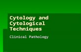 Cytology and Cytological Techniques Clinical Pathology.