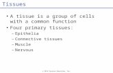 © 2012 Pearson Education, Inc. Tissues A tissue is a group of cells with a common function Four primary tissues: –Epithelia –Connective tissues –Muscle.