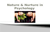 Nature  Nature – genetics  Nurture  Nurture – environment.