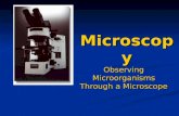 Microscopy Observing Microorganisms Through a Microscope.