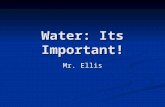 Water: Its Important! Mr. Ellis. Do Now Why do you think water is important? What does it do for you? Why do you think water is important? What does it.
