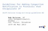 1 Guidelines for Adding Congestion Notification to Protocols that Encapsulate IP draft-briscoe-tsvwg-ecn-encap-guidelines-02 Bob Briscoe, BT John Kaippallimalil,