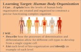 Learning Target: Human Body Organization I Can…Explain how the levels of human body organization are created and organized to construct a precise functioning.