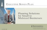 OLA 1069 T 1008 Planning Solutions for Small to Midsized Businesses.