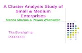 A Cluster Analysis Study of Small & Medium Enterprises Menna Sharma & Pawan Wadhawan Tita Borshalina 29009008.