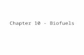 Chapter 10 - Biofuels. Introduction Existing standards for carbon accounting Forestry schemes as carbon offsets Biomass energy in place of fossil fuels.