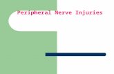 Peripheral Nerve Injuries. PATHOLOGY Nerves can be injured by ischaemia,compression, traction, laceration or burning. Damage varies in severity from transient.