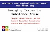 Www.nnepc.org 1-800-222-1222 Northern New England Poison Center  Emerging Issues in Substance Abuse Gayle Finkelstein, MS RN Vermont Education.