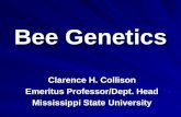 Bee Genetics Clarence H. Collison Emeritus Professor/Dept. Head Mississippi State University.