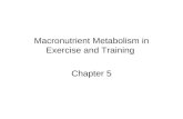 Macronutrient Metabolism in Exercise and Training Chapter 5.