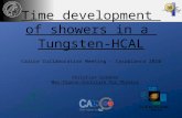 Time development of showers in a Tungsten-HCAL Calice Collaboration Meeting – Casablanca 2010 Christian Soldner Max-Planck-Institute for Physics.
