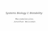 Systems Biology I: Bistability Macromolecules Jonathan Weissman.