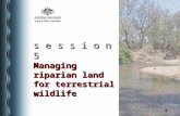 S e s s i o n 5 Managing riparian land for terrestrial wildlife.